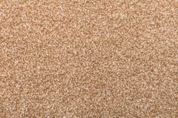 Elegant Saxony Carpet £8.99/m2 - Desert Sand