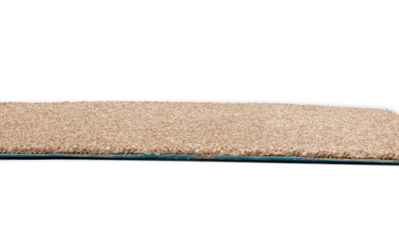 Elegant Saxony Carpet £8.99/m2 - Desert Sand
